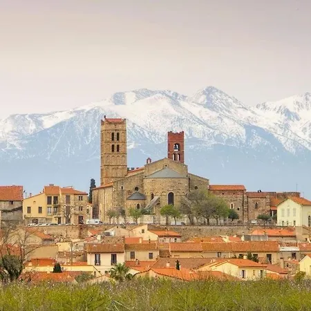 Maison Du Cloitre D'elne * Эльн