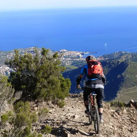 Maison Du Cloitre D'elne *