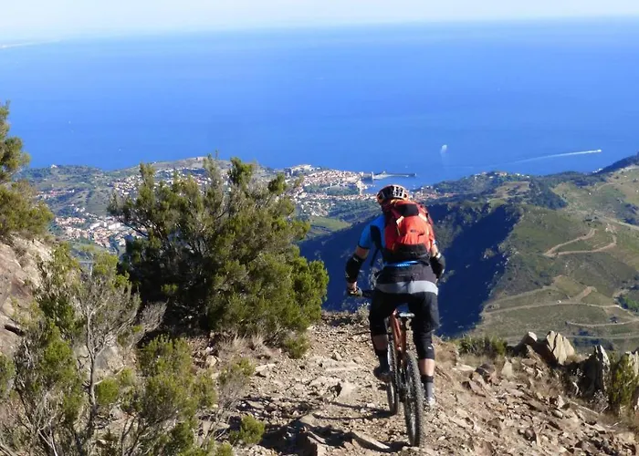 Maison Du Cloitre D'elne *